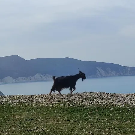 Hébergement de vacances Dina's House *