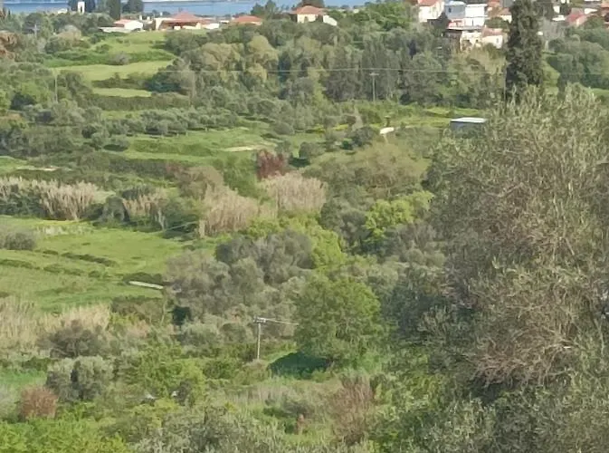 Dina's House Agia Thekli