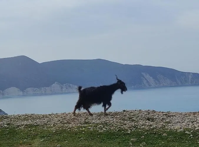 بيت للعطل Dina's House *