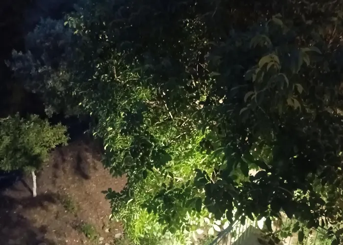 Dina's House بيت للعطل *